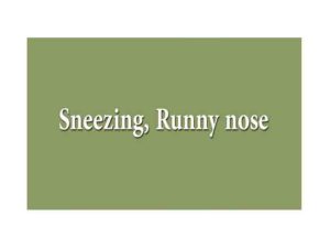 Sneezing runny nose