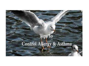 Control Your Asthma