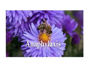 Anaphylaxis FAQ