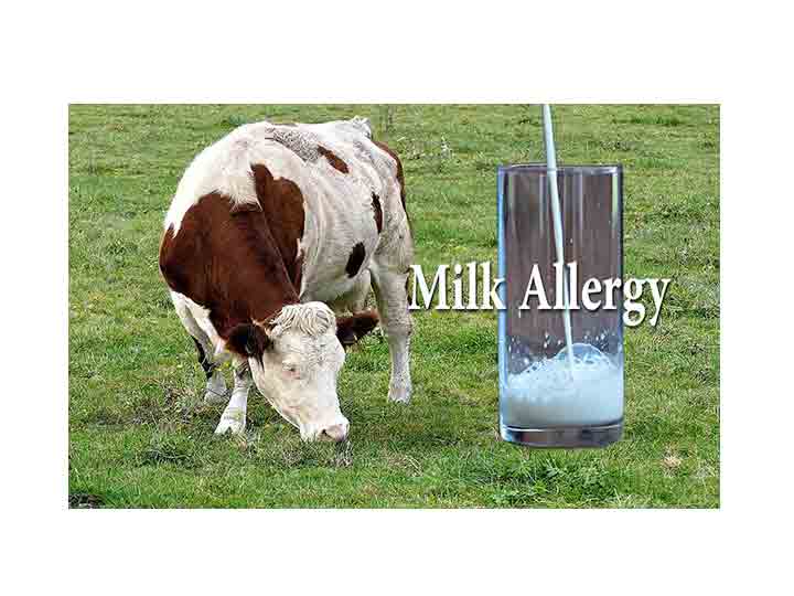 milk allergy
