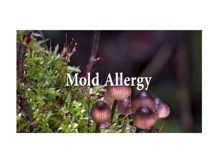 Mold allergy
