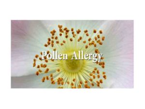 Pollen Allergy Symptoms Management and Treatment